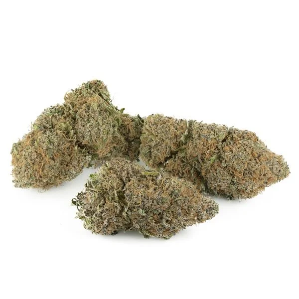 Gelato-33-Multi-Shot-600x600-1