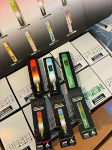 WhatsApp-Image-2025-09-29-at-17.00.41_72dbd813-225x300