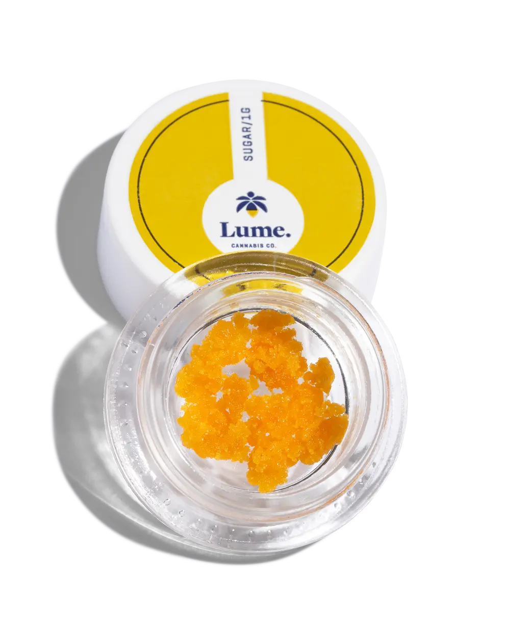 Lume-LiveResin-Sugar_01